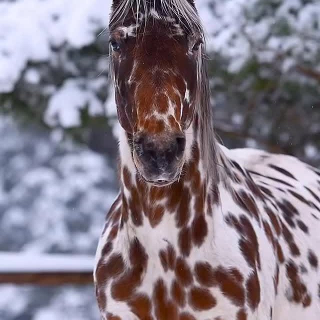  .....ature   'recent posts' 