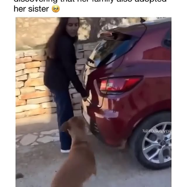  .....rarily   'recent posts' 