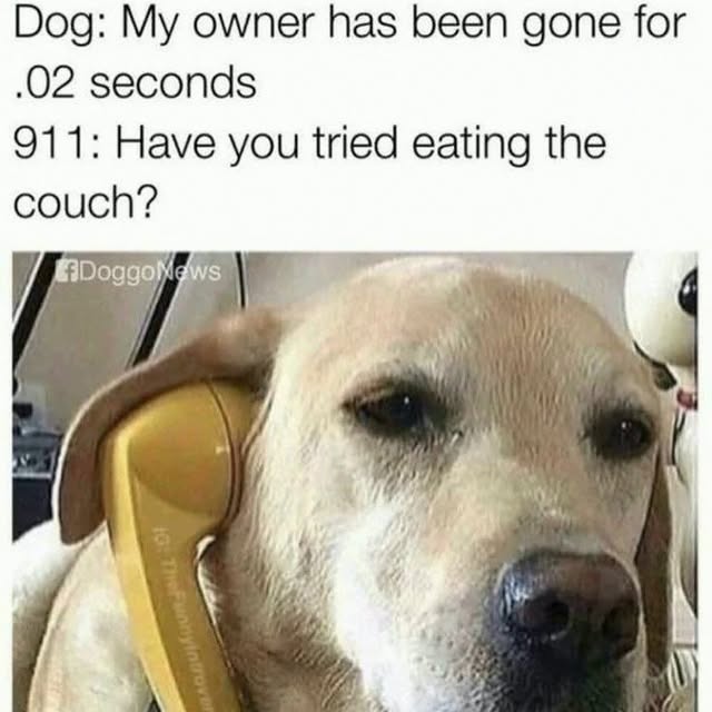  ......orable   'recent posts' 