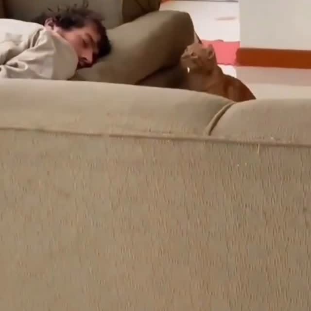  ......ingcat   'recent posts' 