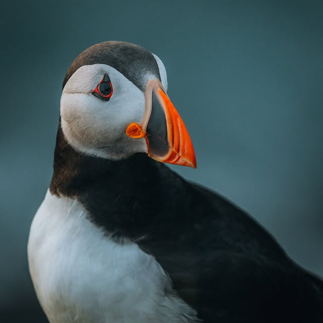  ......otsbymb   'recent posts' 