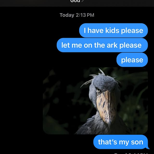  ..........rdoftheday   'recent posts' 