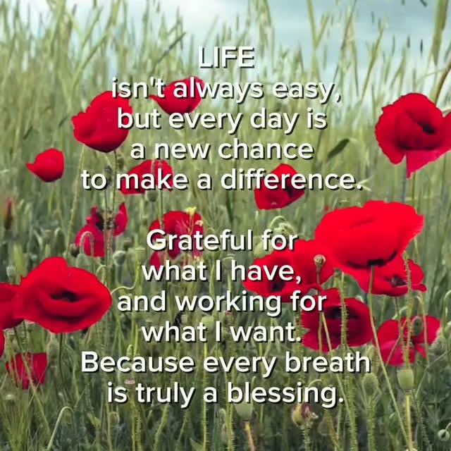  .......zenworld   'recent posts' 