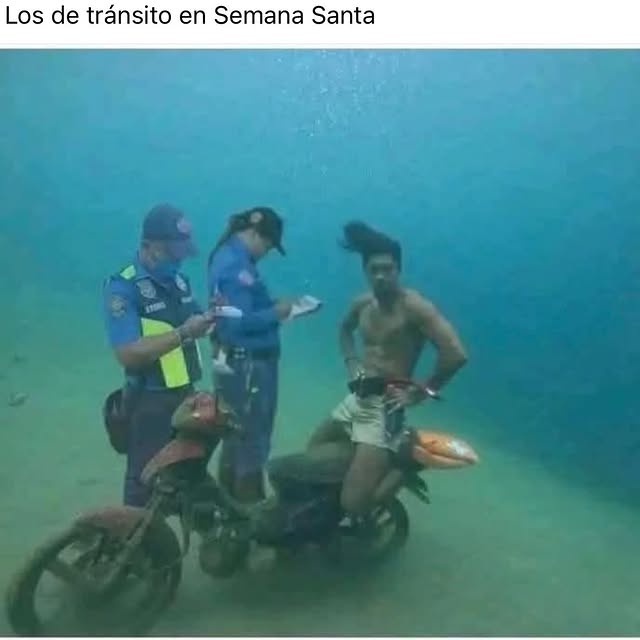  ......mbroso   'recent posts' 