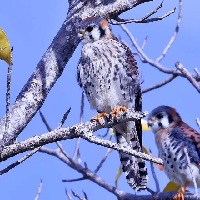  .....yland   'recent posts' 