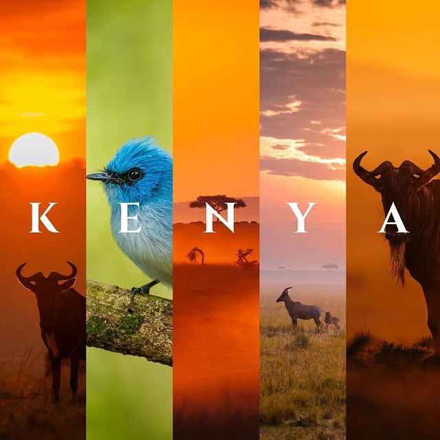  ......ravels   'recent posts' 