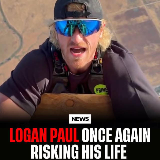  ....memes   'recent posts' 