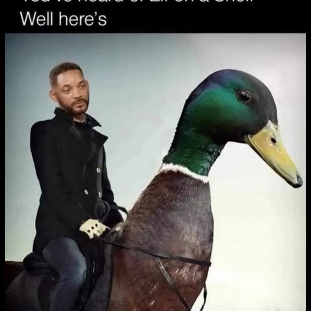  ......plains   'recent posts' 