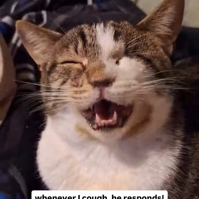  ......kekkek   'recent posts' 