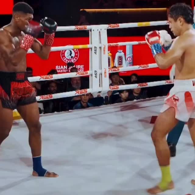  ...sado   'recent posts' 