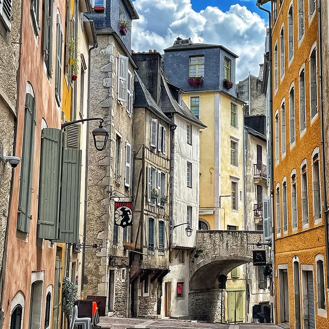  ......_viola   'recent posts' 