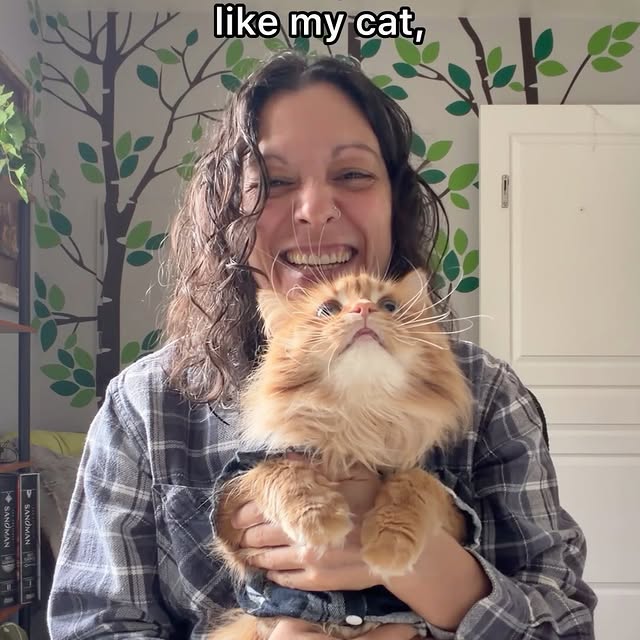  .........tofficial   'recent posts' 