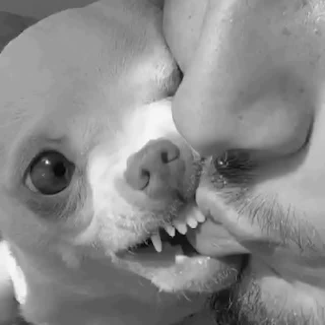  ........astiming   'recent posts' 