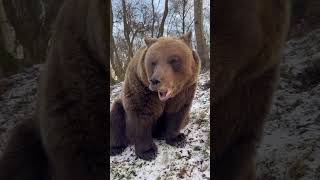  .....rthTv  'recent videos' 