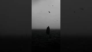  ......ricals  'recent videos' 