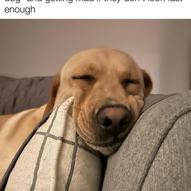  .......ndrulzz   'recent posts' 