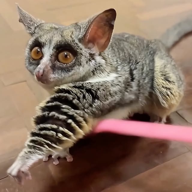  ........malsgram   'recent posts' 