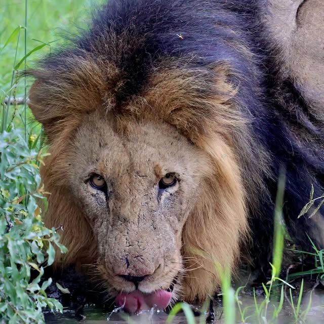  .........._sightings   'recent posts' 