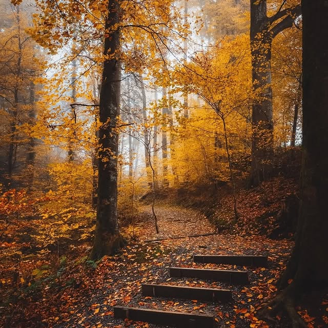  .........onworldpix   'recent posts' 