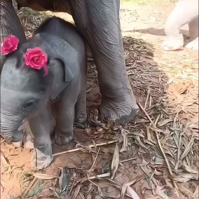  ........sofworld   'recent posts' 