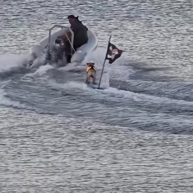  ..........ylefishing   'recent posts' 