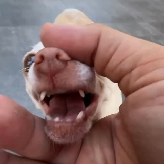  ........astiming   'recent posts' 