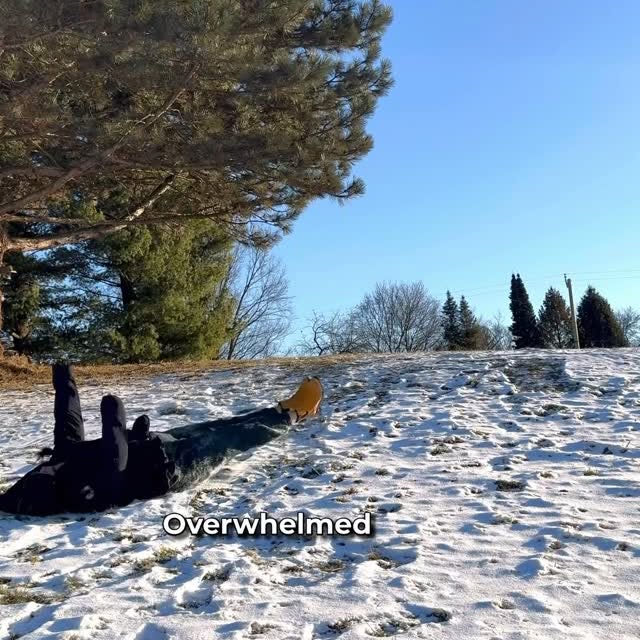  ...rzy   'recent posts' 