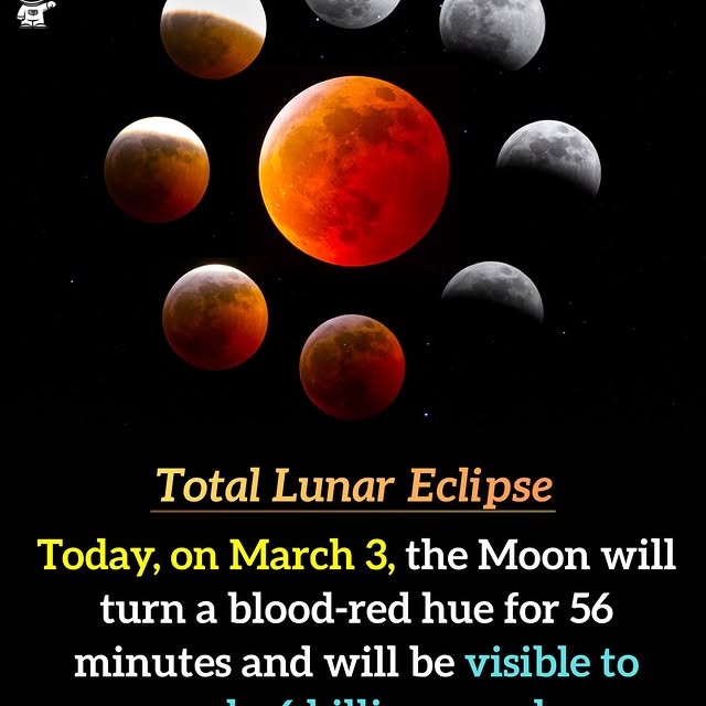  .......ciencex   'recent posts' 