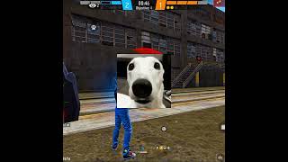  ....I TV  'recent videos' 