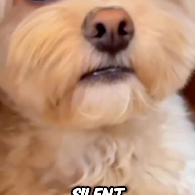  ........ykingdom   'recent posts' 