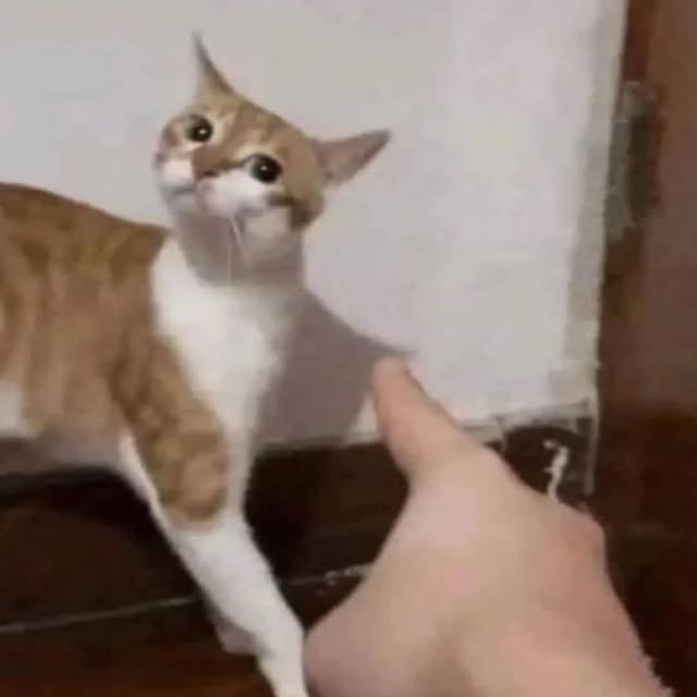  .......sinhome   'recent posts' 