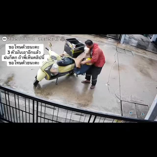  .........onanimals   'recent posts' 