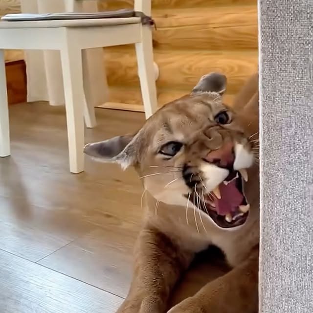  ........malsgram   'recent posts' 