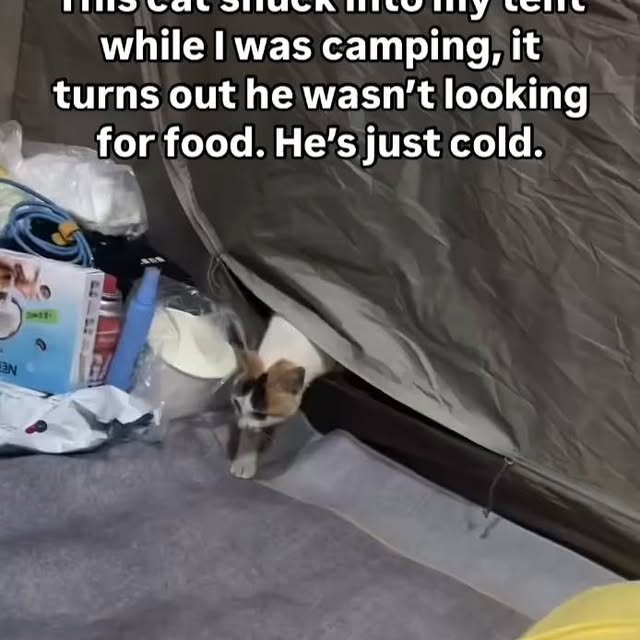  ......alking   'recent posts' 