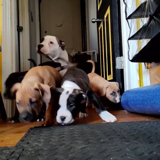  ..ps   'recent posts' 