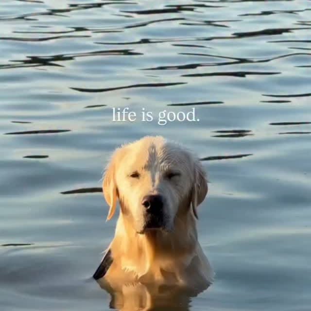  ........est_life   'recent posts' 