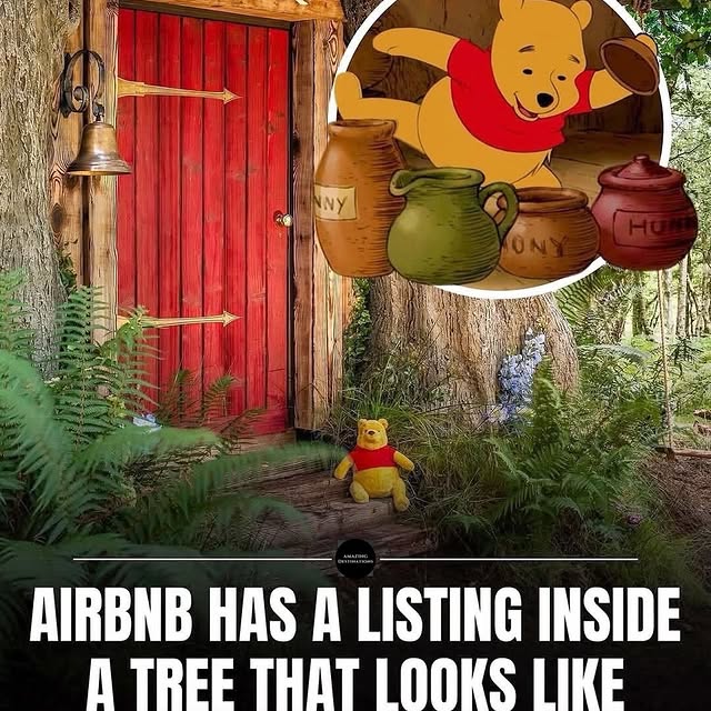  .......hotel.s   'recent posts' 