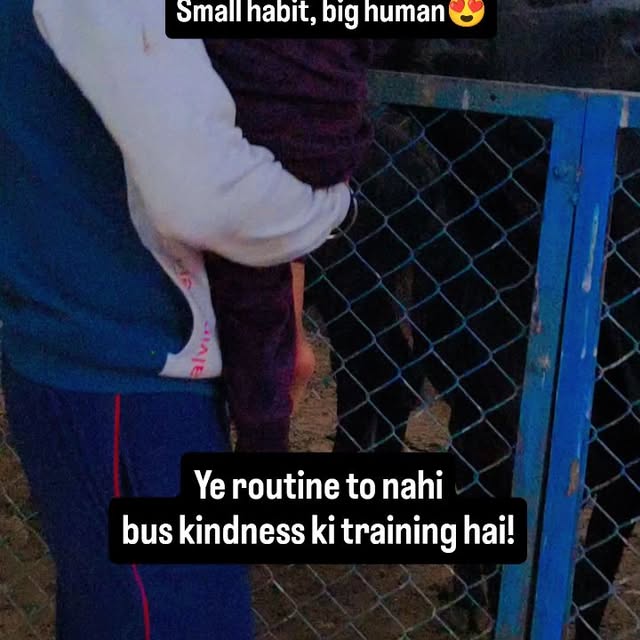  ..........lifestyloo   'recent posts' 