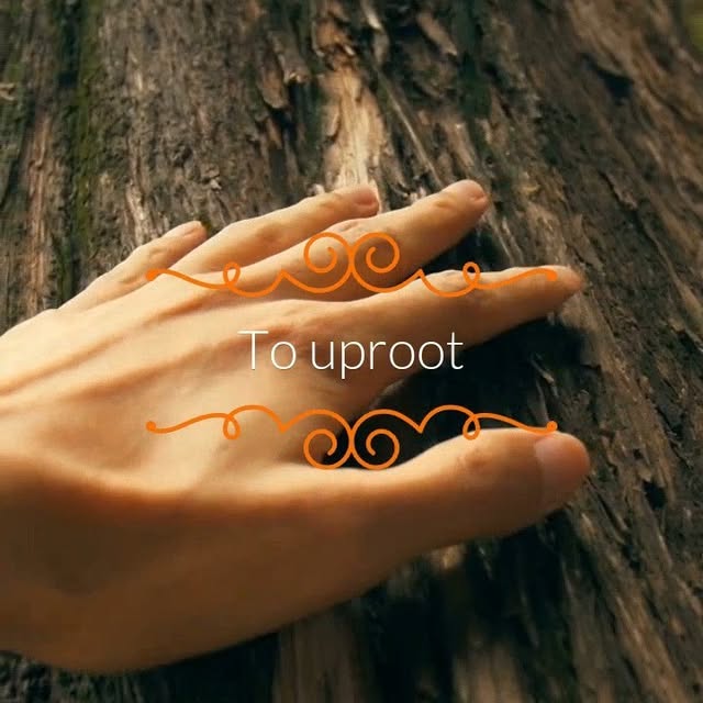  .......e.memes   'recent posts' 