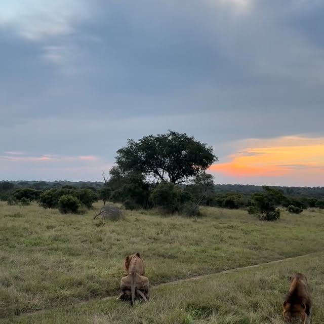  .........._sightings   'recent posts' 