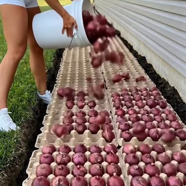  .......manzioli   'recent posts' 