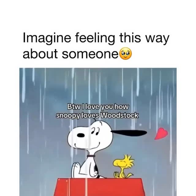  ......snotes   'recent posts' 