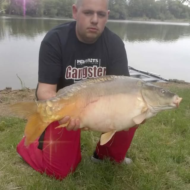  ............._person_daily   'recent posts' 