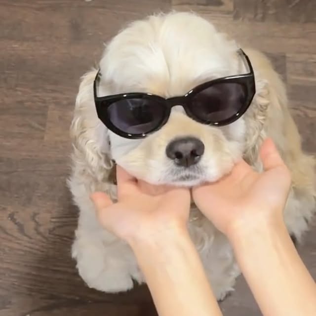  ......ofinsta   'recent posts' 