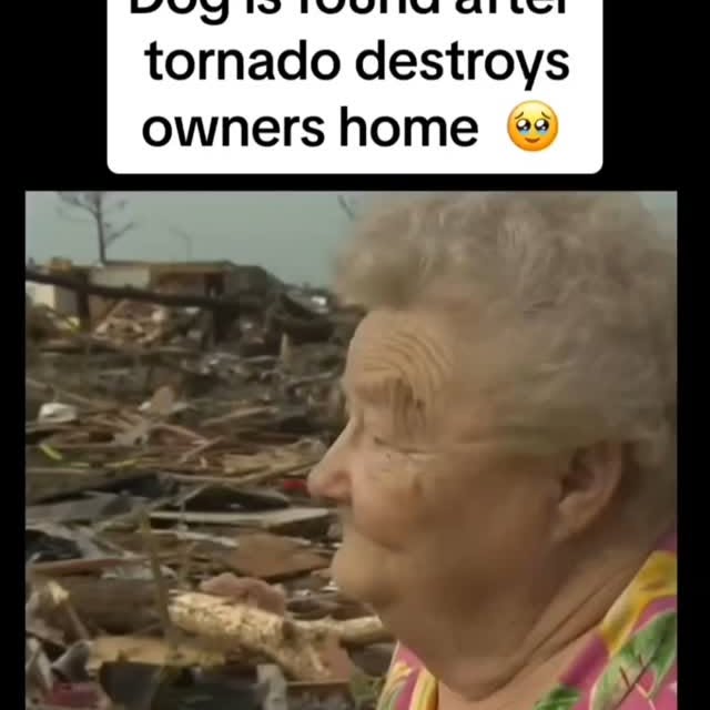  .......yexpre55   'recent posts' 