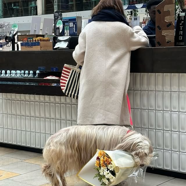  ......andmore   'recent posts' 