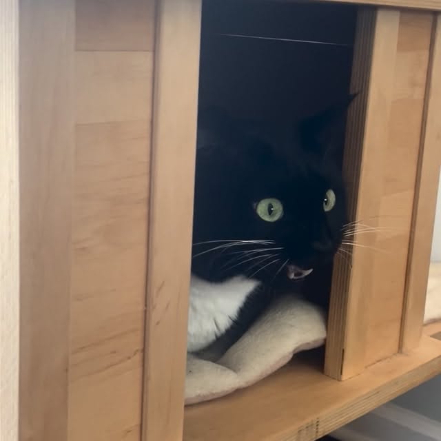  ......kekkek   'recent posts' 