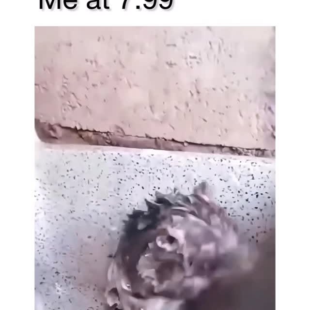  ........eos_fr_us   'recent posts' 