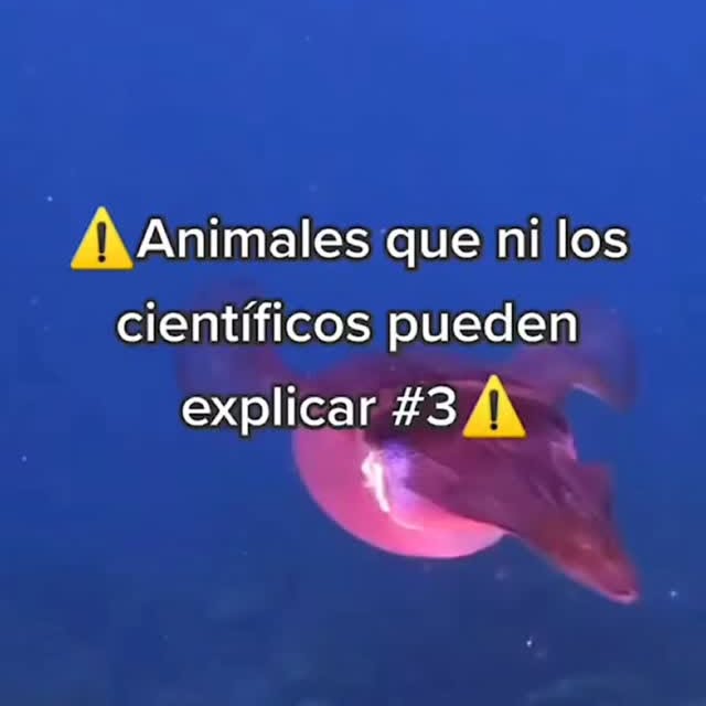  .......terioso   'recent posts' 