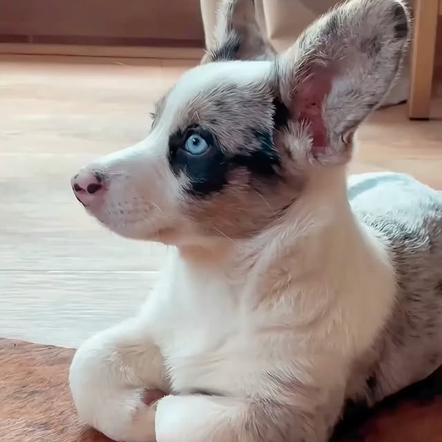  ........malsgram   'recent posts' 